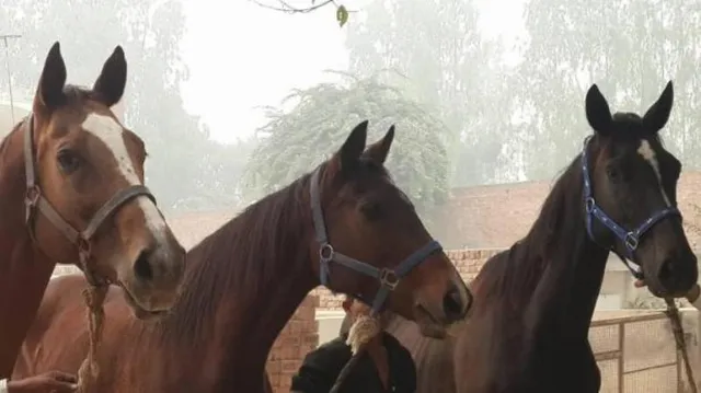 ଫେସବୁକ୍‌ ଜରିଆରେ ୫ମାସ ପୂର୍ବେ ହଜିଯାଇଥିବା ଘୋଡାକୁ ଫେରି ପାଇଲେ ଏହି ପୂର୍ବତନ ମୁଖ୍ୟମନ୍ତ୍ରୀ