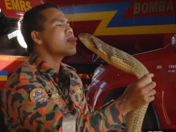 ବିଷଧର ସାପକୁ ଚୁମ୍ବନ ଦେବା ସହିତ ବିବାହ କରିଥିବା ନେଇ ଚର୍ଚ୍ଚାରେ ଥିବା ଯୁବକଙ୍କ ନାଗ ଦଶଂନରେ ମୃତ୍ୟୁ