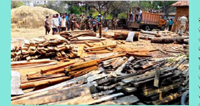 ବେଆଇନ କରତକଳରେ ଚଢ଼ଉ : ଯନ୍ତ୍ରାଂଶ, କାଠ ଜବତ