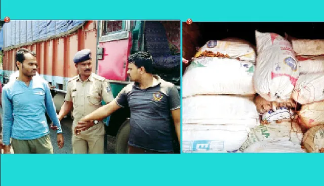 ୩୯ କ୍ୱିଣ୍ଟାଲ ଗଞ୍ଜେଇ ସହ ଟ୍ରକ ଜବତ, ୨ ଗିରଫ