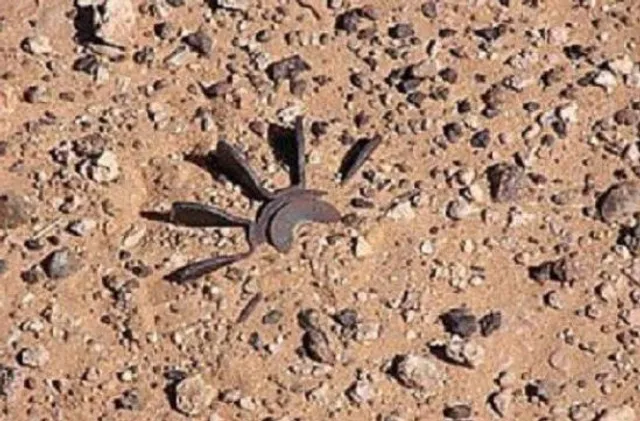 ଲ୍ୟାଣ୍ଡମାଇନ୍‌ ବିସ୍ଫୋରଣ, ୪ ଯବାନ ଆହତ