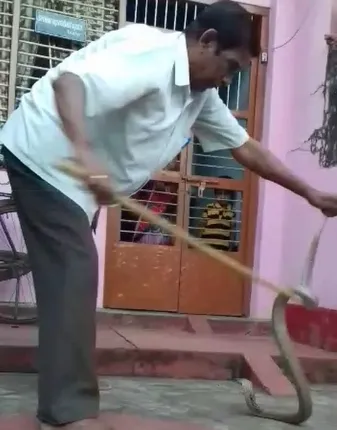 ସାପଧରା ନିଶା ନେଲା ଶିକ୍ଷକଙ୍କ ଜୀବନ