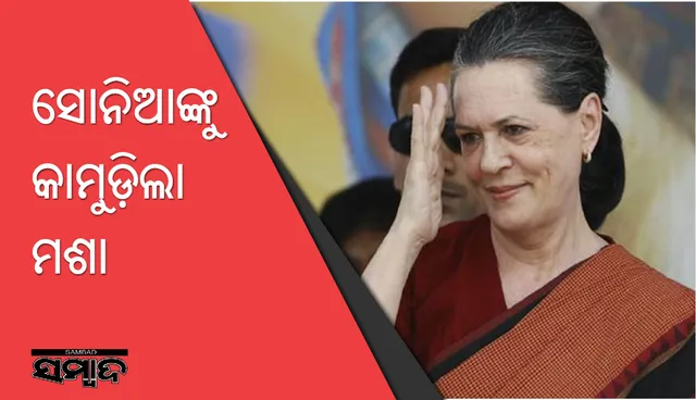 ମଶାଙ୍କ ପାଇଁ ମହାଅଧିବେଶନ ଅଧାରୁ ଛାଡ଼ିଥିଲେ ସୋନିଆ