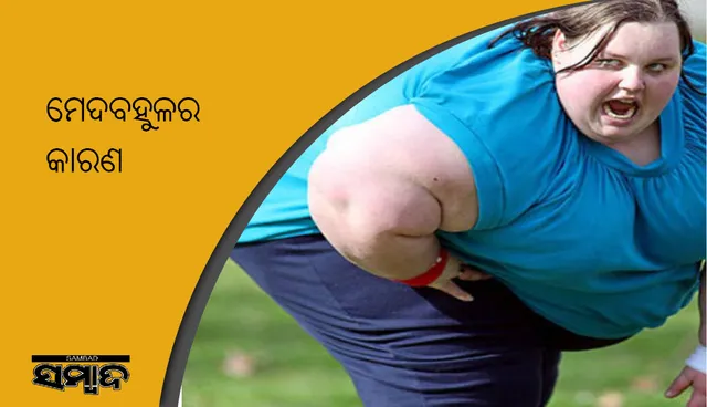 ମେଦବହୁଳର କାରଣ, ଉପଚାର ଓ ଅସ୍ତ୍ରୋପଚାର ସମ୍ପର୍କରେ ଜାଣନ୍ତୁ