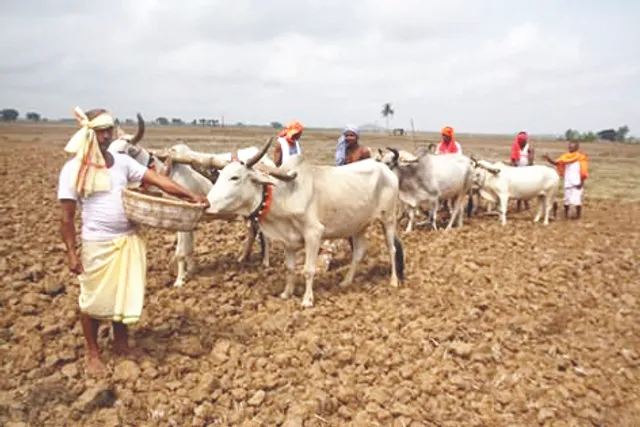 ଅନୁକୂଳର ପର୍ବ ଅକ୍ଷୟ ତୃତୀୟା