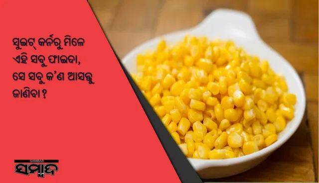 ସୁଇଟ୍‌ କର୍ନରୁ ମିଳେ ଏହି ସବୁ ଫାଇଦା, ସେ ସବୁ କ’ଣ ଆସନ୍ତୁ ଜାଣିବା?