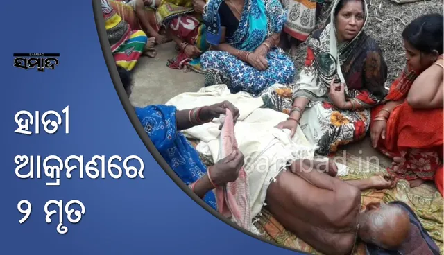 ଢେଙ୍କାନାଳ:  ଦୁଇ ଜଣଙ୍କୁ ହାତୀ ଦଳିଦେଲା