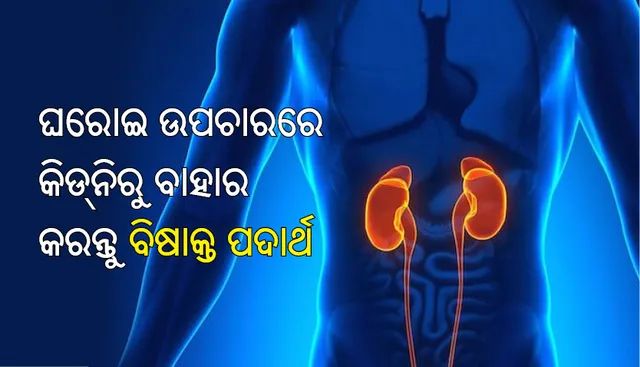 ଡାକ୍ତରଖାନା ଯିବା ଦରକାର ନାହିଁ; ଘରୋଇ ଉପଚାରରେ କିଡ୍‌ନିରୁ ବାହାର କରି ପାରିବେ ବିଷାକ୍ତ ପଦାର୍ଥ