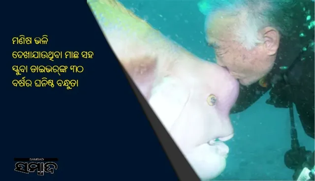 ମଣିଷ ଭଳି ଦେଖାଯାଉଥିବା ମାଛ ସହ ସ୍କୁବା ଡାଇଭର୍‌ଙ୍କ ୩୦ ବର୍ଷର ଘନିଷ୍ଠ ବନ୍ଧୁତା