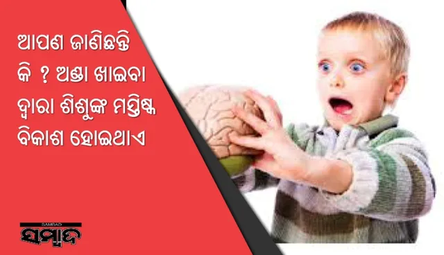 ଆପଣ ଜାଣିଛନ୍ତି କି ? ଅଣ୍ଡା ଖାଇବା ଦ୍ୱାରା ଶିଶୁଙ୍କ ମସ୍ତିଷ୍କ ବିକାଶ ହୋଇଥାଏ