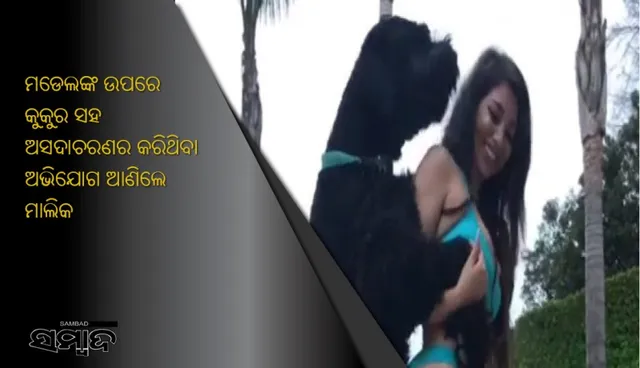 ମଡେଲଙ୍କ ଉପରେ କୁକୁର ସହ ଅସଦାଚରଣର କରିଥିବା ଅଭିଯୋଗ ଆଣିଲେ ମାଲିକ