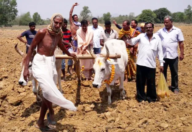 ପବିତ୍ର ଅକ୍ଷୟ ତୃତୀୟାରେ ଅକ୍ଷିମୁଠି ଅନୁକୂଳ