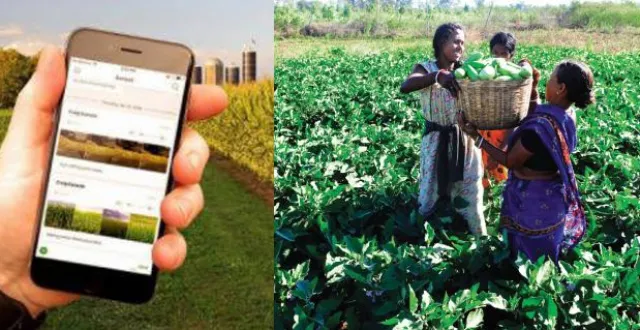 ସରକାରଙ୍କ ନୂଆ ଯୋଜନା: ମହିଳା ଚାଷୀଙ୍କୁ ସ୍ମାର୍ଟ ଫୋନ୍‌