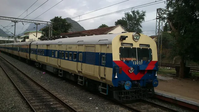 ରାମ ନବମୀରେ ଗଡ଼ିବ ଭଦ୍ରକ-ନୟାଗଡ଼ ଟାଉନ ମେମୁ