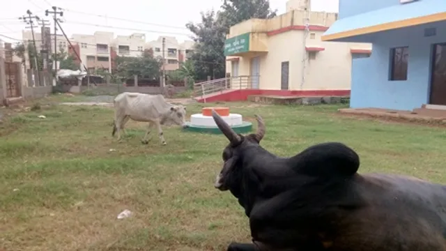 ଖତ ଖାଉଛି ବରିଷ୍ଠ ନାଗରିକ ଚିତ୍ତ ବିନୋଦନ କେନ୍ଦ୍ର