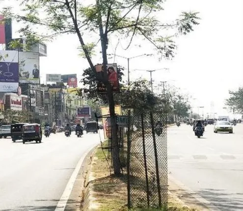 ବୃକ୍ଷରୋପଣରେ ମହାଦୁର୍ନୀତି ଗନ୍ଧ, ଲୁଟିବାକୁ ଗଛ ମାଧ୍ୟମ