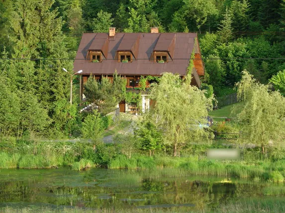 ବାସ୍‌ ଗୋଟାଏ ଗଛ, ମାତ୍ର ଅନେକ ଫାଇଦା; ନିଜ ଘରପାଖରେ ଏହି ଗଛ ଲଗାଇବାକୁ ଆଦୌ ଭୁଲନ୍ତୁ ନାହିଁ