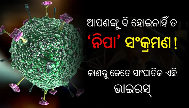 ଆପଣଙ୍କୁ ବି ହୋଇନାହିଁ ତ ‘ନିପା’ ସଂକ୍ରମଣ! ଜାଣନ୍ତୁ କେତେ ସାଂଘାତିକ ଏହି ଭାଇରସ୍‌