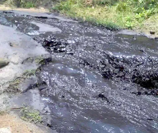 କଳାପାଣିର ବିଷ: ସତ୍ତା ହରାଉଛି ଲିଲାରୀ