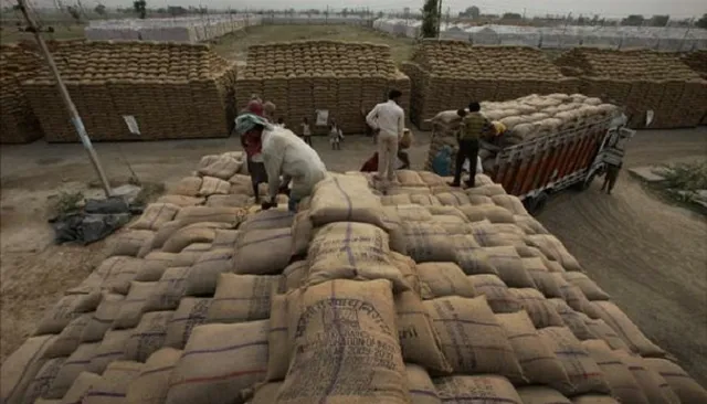 ମଣ୍ଡିରେ ପଡ଼ିଛି ୩ ହଜାର ବସ୍ତା ଧାନ : ବର୍ଷା ଆଶଙ୍କା ଚିନ୍ତାରେ ଚାଷୀ