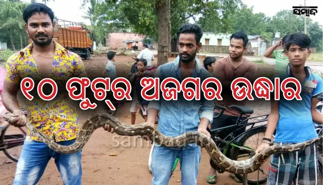 ୧୦ ଫୁଟ୍‌ ଲମ୍ବର ଅଜଗର ସାପ ଉଦ୍ଧାର