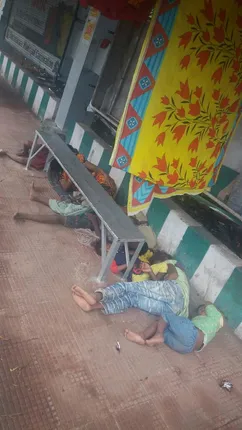 ଅଳିଆ ନ ଗୋଟେଇଲେ ଖାଇବାକୁ କିଏ ଦବ?