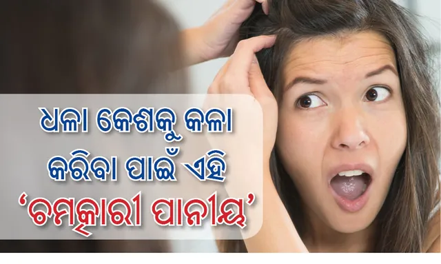 ବୟସ ପୂର୍ବରୁ ଧଳା ହୋଇଯାଉଥିବା କେଶକୁ କଳା କରିବା ପାଇଁ ପିଅନ୍ତୁ ଘରୋଇ ଉପାୟରେ ପ୍ରସ୍ତୁତ ଏହି ଚମତ୍କାରୀ ପାନୀୟ
