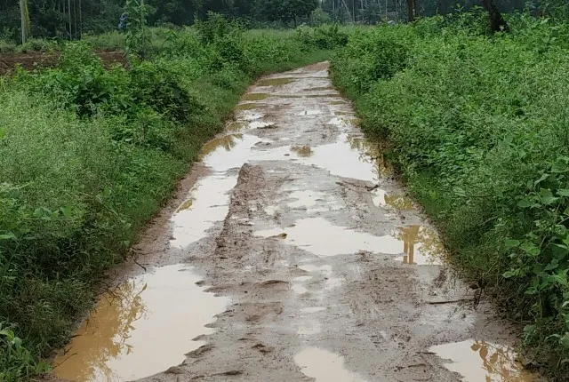 ରାଜଧାନୀ ନାକ ତଳେ ଏଭଳି ଚିତ୍ର : ବର୍ଷା ଆସିଲେ ଘାରୁଛି ଚିନ୍ତା