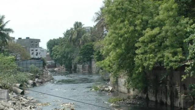 ଜବରଦଖଲକାରୀଙ୍କ କବ୍‌ଜାରେ କାଡ଼ା ନାଳି : ୪୦ ଘରେ ପଶିଲା ପାଣି