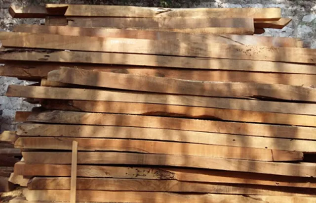 ଟ୍ରାକ୍ଟର ସହ କାଠ ଜବତ; ୪ ଗିରଫ