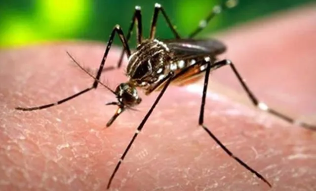 ରାଜଧାନୀରେ ଆଉ ଏକ ଡେଙ୍ଗୁ ମୃତ୍ୟୁ!