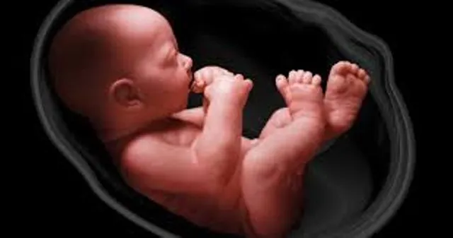 ମା’ପେଟରୁ ହିଁ ନିର୍ଦ୍ଧାରିତ ହୋଇଥାଏ ଶିଶୁର ଭବିଷ୍ୟତ ସହ ଜଡ଼ିତ ଏହି ୪ଟି କଥା