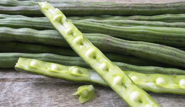 ଶସ୍ତାରେ କୋଟି କୋଟି ଲୋକଙ୍କୁ ବିଶୁଦ୍ଧ ପିଇବା ପାଣି ଯୋଗାଇବ ଶଜନାମଞ୍ଜି ପ୍ରୋଟିନ୍‌: ଆମେରିକୀୟ ବୈଜ୍ଞାନିକ