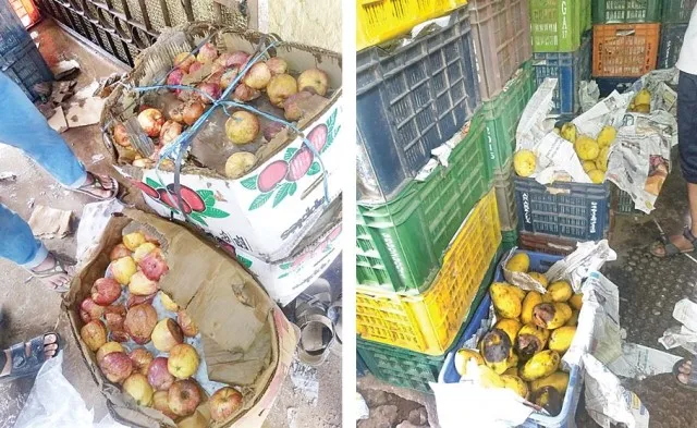 ଫଳ ଗୋଦାମ ଉପରେ ଚଢ଼ଉ : ୫କ୍ୱିଣ୍ଟାଲ ଫଳ ଜବତ