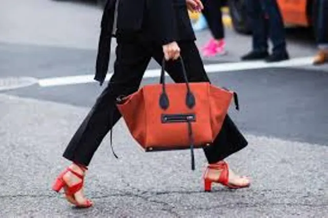 ବାହାରକୁ ଯିବା ସମୟରେ ବ୍ୟାଗ୍‌ରେ ଏହି ୪ଟି ଜିନିଷକୁ  ନିଶ୍ଚୟ ରଖନ୍ତୁ