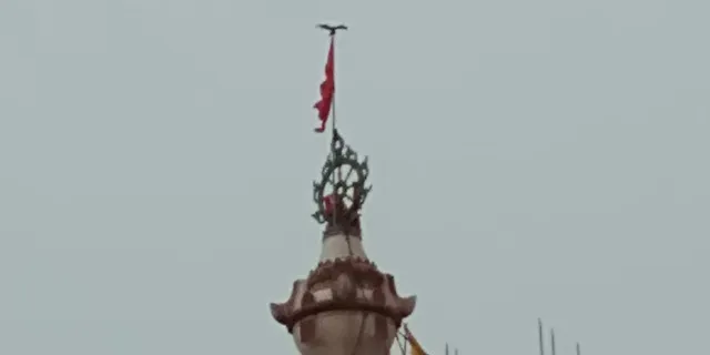 ଶ୍ରୀମନ୍ଦିର ନୀଳଚକ୍ରରେ ବସିଲା ଚିଲ