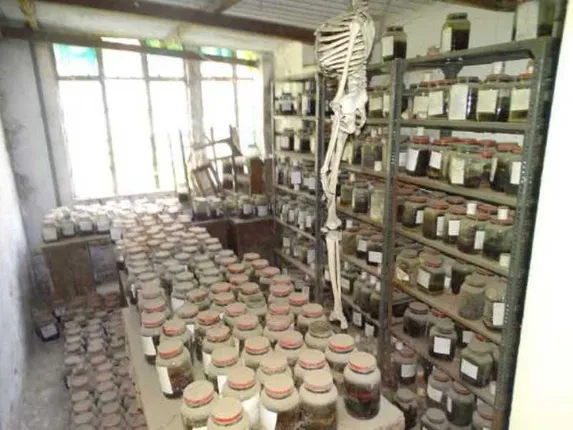 ୧୭ବର୍ଷ ଧରି ଗଚ୍ଛିତ ଥିବା ୨୮୦୦ ମୃତଦେହର ଅଂଶ ମିଳିଲା,ପୁଲିସର ଅବହେଳା ପାଇଁ ଘଟିଛି ଏହି ଘଟଣା