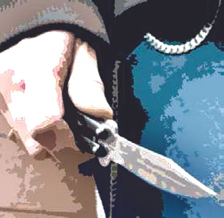 ପୁଲିସ୍‌ ଅଧିକାରୀଙ୍କ ଘରୁ ଡକାୟତି; ମୁଖା ପିନ୍ଧି ମହିଳା ପଶିଲେ, ଛୁରୀ ଦେଖାଇ ଲୁଟିଲେ