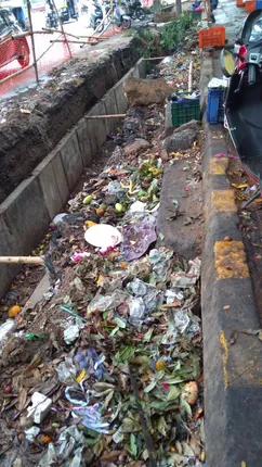 ଫଳ ବଜାର ପାଇଁ ରାସ୍ତା ପାଲଟୁଛି ଡଷ୍ଟବିନ୍‌