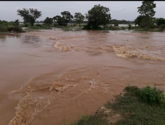 ବୈତରଣୀର ଶାଖା କଣି ନଦୀରେ ଦୁଇଟି ଘାଇ, ଗ୍ରାମବାସୀଙ୍କ ମନରେ ପଶିଲା ଛନକା