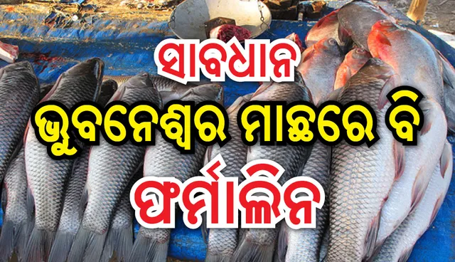 ପରୀକ୍ଷାରୁ ଧରାପଡ଼ିଲା ସତ: ଭୁବନେଶ୍ୱରରେ ବିକ୍ରିହେଉଥିବା ମାଛରେ ଦିଆଯାଉଛି ଫର୍ମାଲିନ