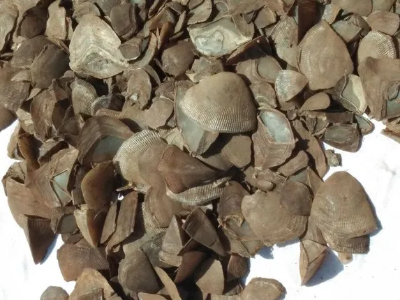 ବଜ୍ରକାପ୍ତା ଚୋରା ଚାଲାଣର ଖୋଲୁଛି ଗୁମର : ଆଉ ଜଣେ ଗିରଫ