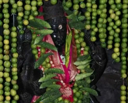 ବିଜୟଓ୍ଵାଡ଼ା କନକ ଦୁର୍ଗା ମନ୍ଦିର: ଯେଉଁଠି ଶାକମ୍ବରୀ ଉତ୍ସବ ପାଇଁ ଅସୁମାରି ପନିପରିବାରେ ସଜା ହୁଅନ୍ତି ଦେବୀ ଓ ମନ୍ଦିର