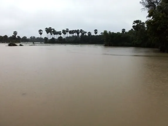 ଲଗାଣ ବର୍ଷାରେ ଖୋର୍ଦ୍ଧା ଅଞ୍ଚଳ ଜଳମଗ୍ନ