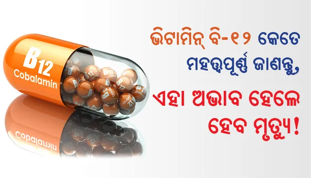ଭିଟାମିନ୍‌ ବି-୧୨ କେତେ ମହତ୍ତ୍ୱପୂର୍ଣ୍ଣ ଜାଣନ୍ତୁ, ଏହା ଅଭାବ ହେଲେ ହେବ ମୃତ୍ୟୁ!