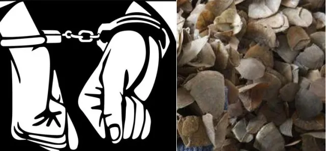 ବଜ୍ରକାପ୍ତା ଚୋରା ଚାଲାଣର ଖୋଲୁଛି ଗୁମର : ଆଉ ଜଣେ ଗିରଫ