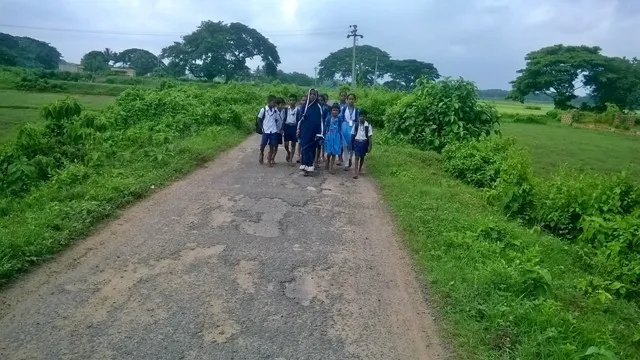 ଚିଙ୍ଗୁଡ଼ିଆ-ପଟୁପଡ଼ା ରାସ୍ତା ଶୋଚନୀୟ