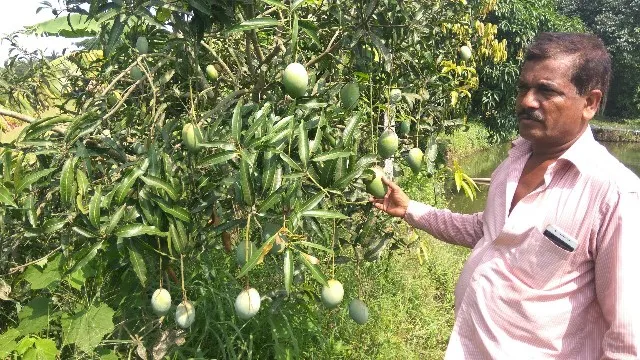 ଚାଷରେ ଲକ୍ଷେ