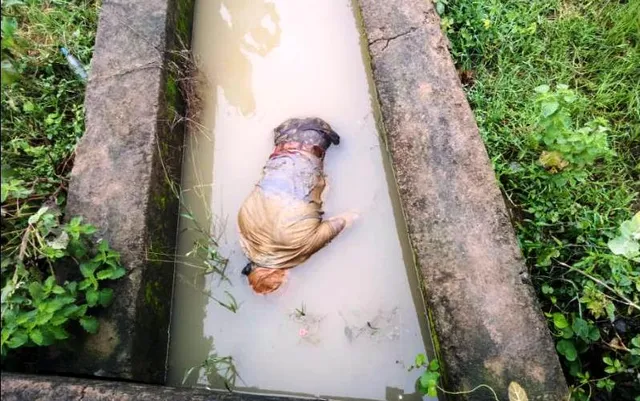 ଧାମନଗର ଡବଲ ମର୍ଡର, ଦୁଷ୍କର୍ମ ଘଟଣା:କଲଭର୍ଟ ତଳୁ ମିଳିଲା ଧରମବାପାଙ୍କ ମୃତଦେହ