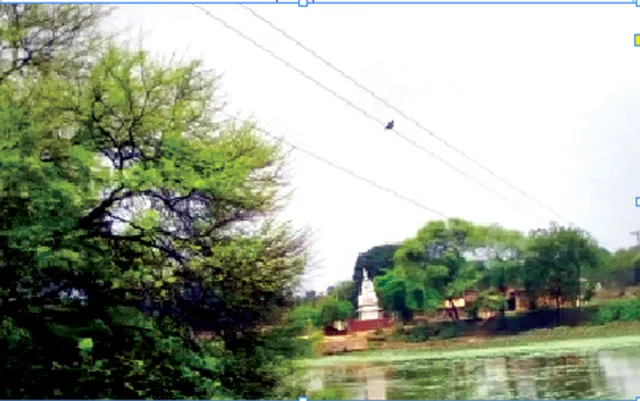 ବିପଜ୍ଜନକ ଅବସ୍ଥାରେ ବିଦ୍ୟୁତ୍‌ ତାର